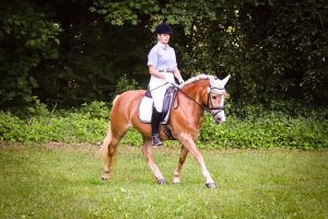 Foto 15.06.17, 07 28 46