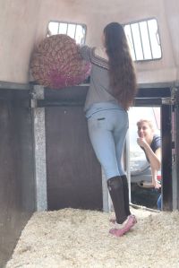 Foto 19.05.18, 14 04 41_preview